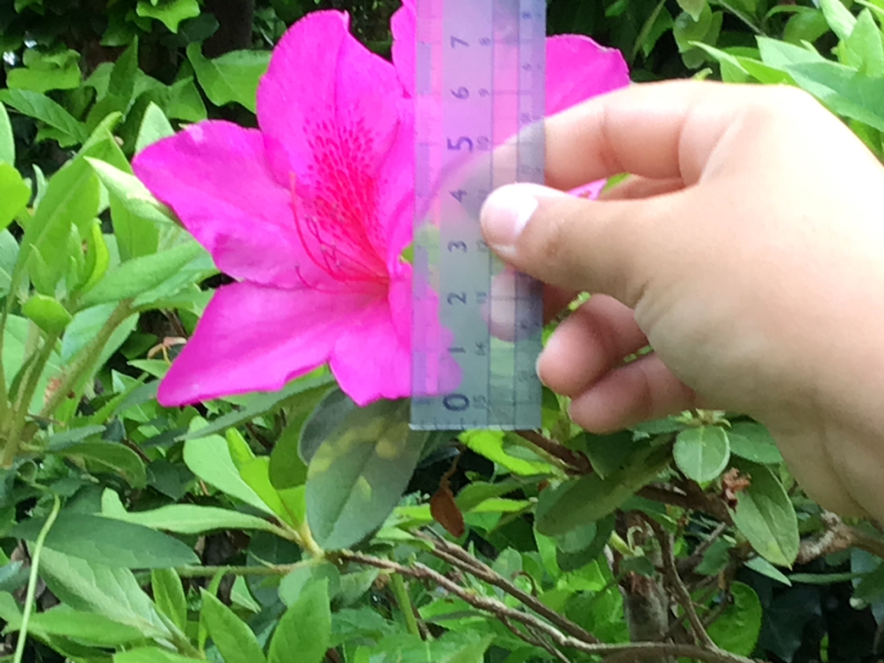 3年1組_理科_岡本 正彦_2025年5月1日のノート (5)