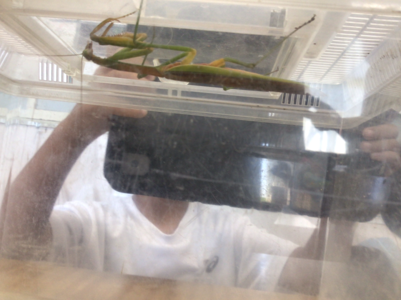 1年1組_せいかつ_岡本 正彦_2025年9月9日のノート (3)