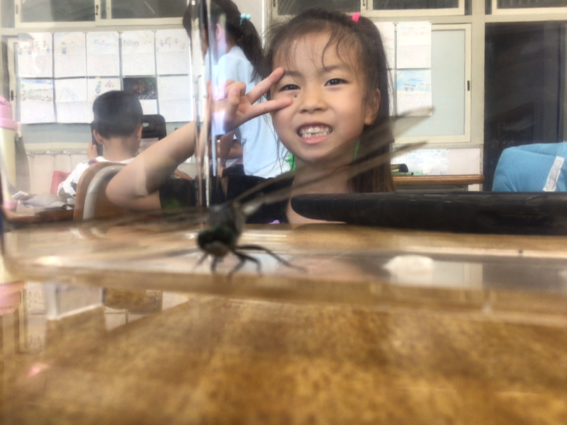 1年1組_せいかつ_岡本 正彦_2025年9月9日のノート (6)