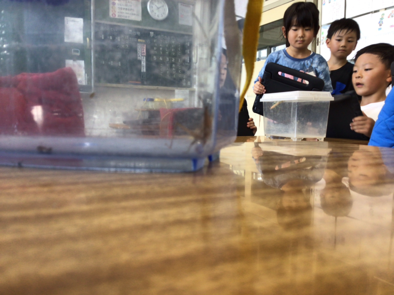 1年1組_せいかつ_岡本 正彦_2025年9月9日のノート (8)