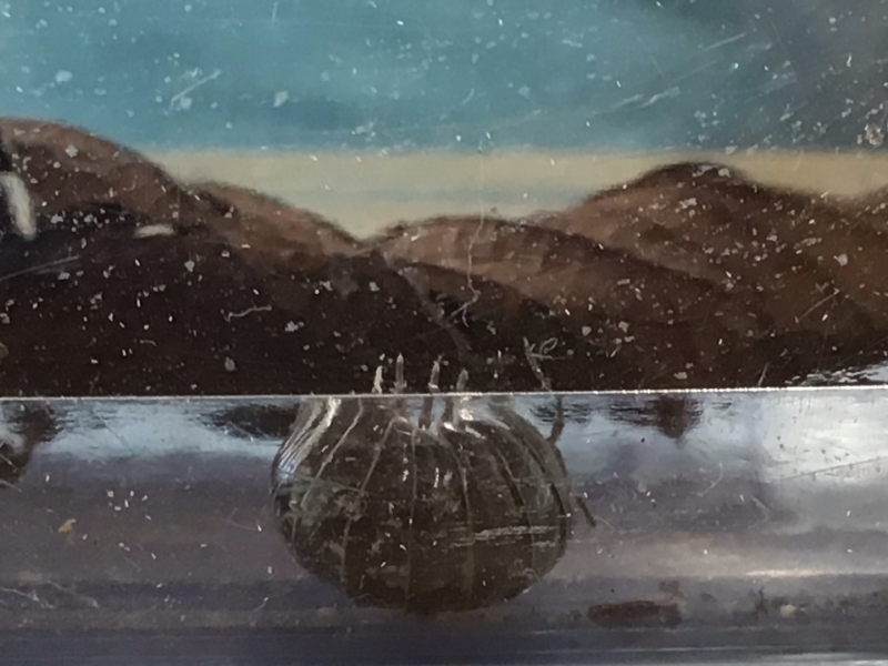 1年1組_せいかつ_岡本 正彦_2025年9月9日のノート (10)