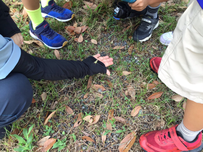 3年1組_理科_岡本 正彦_2025年9月10日のノート (2)