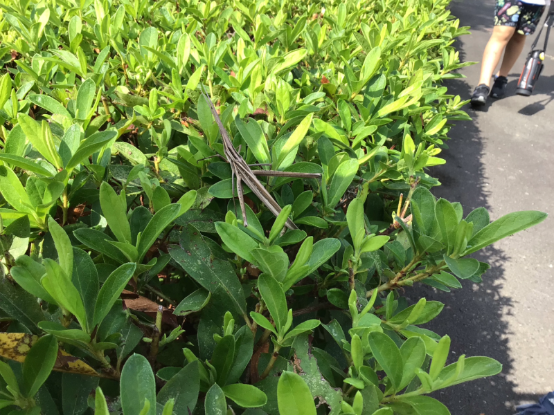 3年1組_理科_岡本 正彦_2025年9月10日のノート (3)