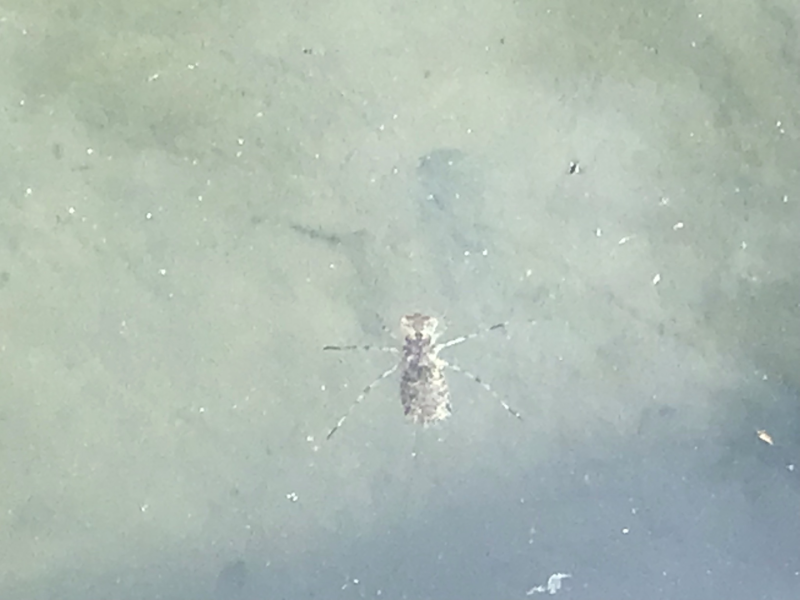 3年1組_理科_岡本 正彦_2025年9月10日のノート (7)