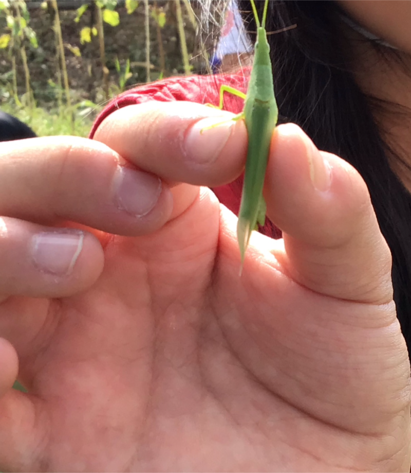 3年1組_理科_岡本 正彦_2025年9月10日のノート (9)