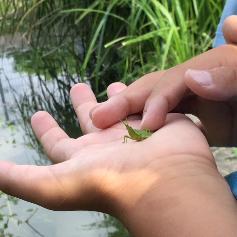 3年1組_理科_岡本 正彦_2025年9月10日のノート (10)