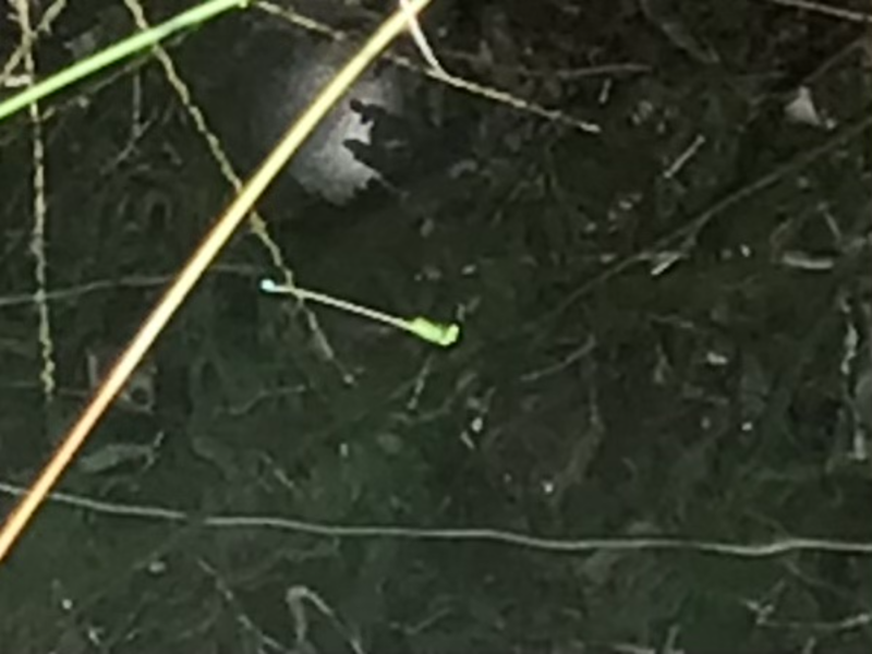 3年1組_理科_岡本 正彦_2025年9月10日のノート (13)