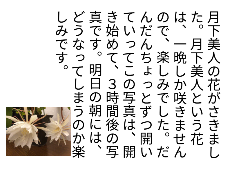 3年1組_日記_岡本 正彦_2025年5月20日のノート (23)