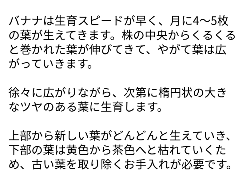 ４年１組_学活_岡本 正彦_2025年5月29日のノート (9)