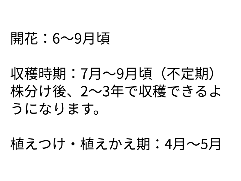 ４年１組_学活_岡本 正彦_2025年5月29日のノート (11)