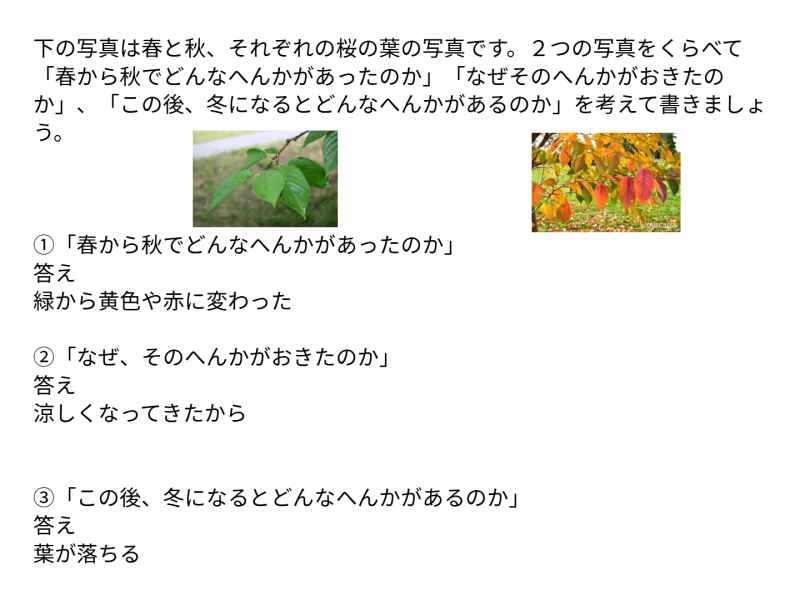 ４年１組_理科_岡本 正彦_2025年9月9日のノート