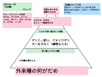 ４年「外来種をつかまえる」 (1).pdfの1ページ目のサムネイル